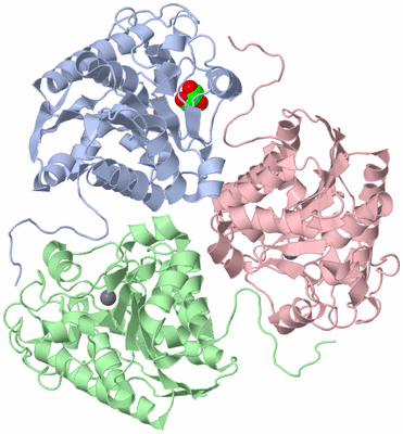 Image Asym./Biol. Unit