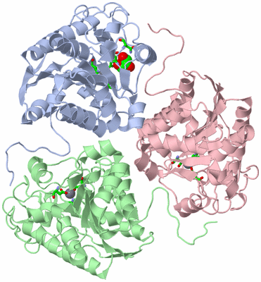 Image Asym./Biol. Unit - sites