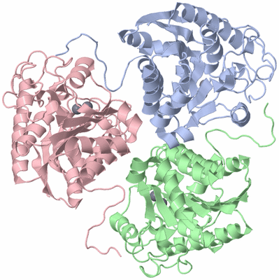 Image Asym./Biol. Unit