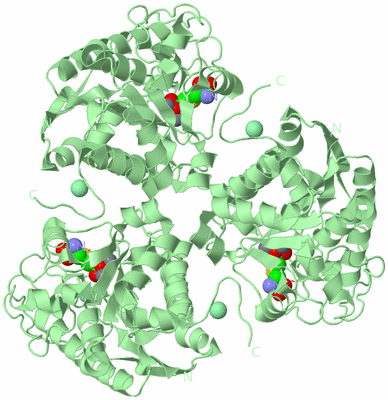 Image Biological Unit 2