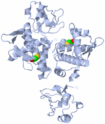 Image Biological Unit 2