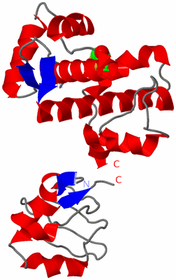 Image Asym. Unit - sites