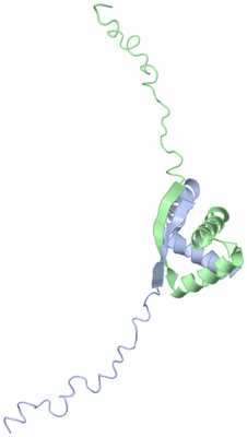 Image NMR Structure - model 1