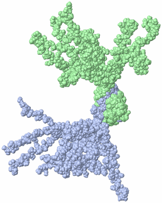 Image NMR Structure - all models