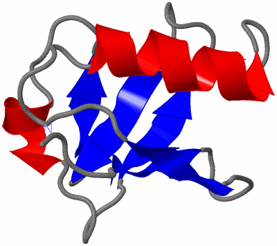 Image NMR Structure - model 1