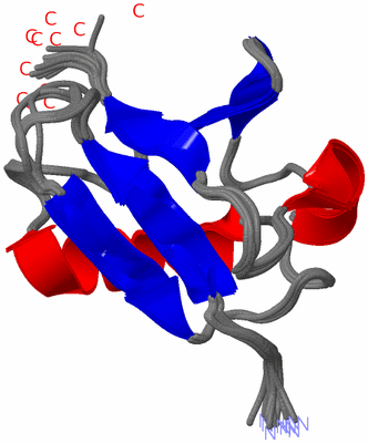 Image NMR Structure - all models