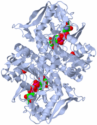 Image Biological Unit 1