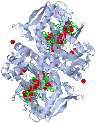 Image Biol. Unit 1 - sites