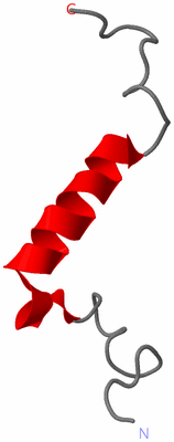 Image NMR Structure - model 1