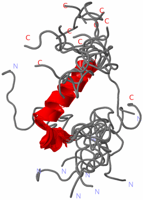 Image NMR Structure - all models