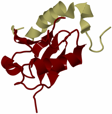 Image NMR Structure - model 1