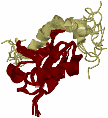 Image NMR Structure - all models