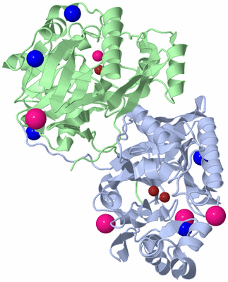 Image Biological Unit 1