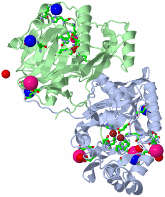 Image Biol. Unit 1 - sites