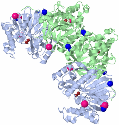 Image Biological Unit 2