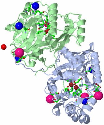 Image Asym. Unit - sites