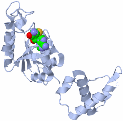 Image Biological Unit 1