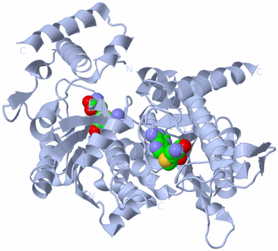 Image Biological Unit 2