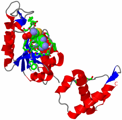 Image Asym. Unit - sites