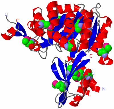 Image Asym./Biol. Unit