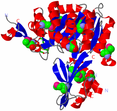 Image Asym./Biol. Unit - sites