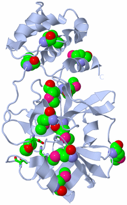 Image Biol. Unit 1 - sites