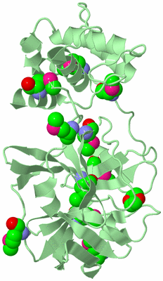 Image Biological Unit 2