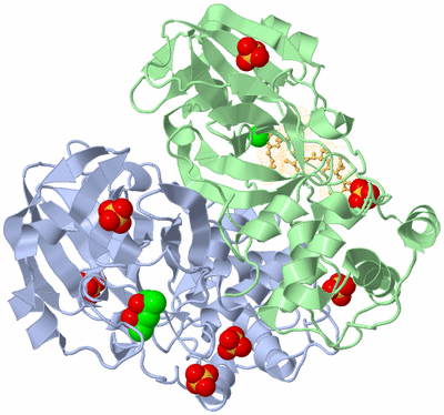 Image Biological Unit 1