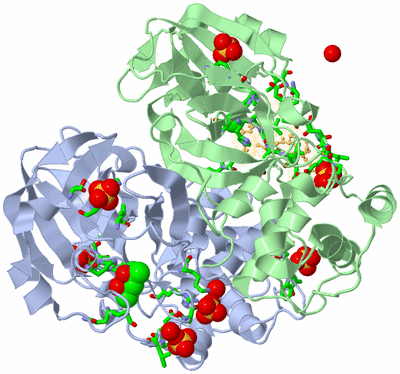 Image Biol. Unit 1 - sites