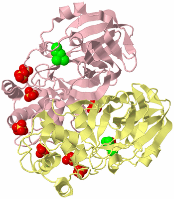 Image Biological Unit 2