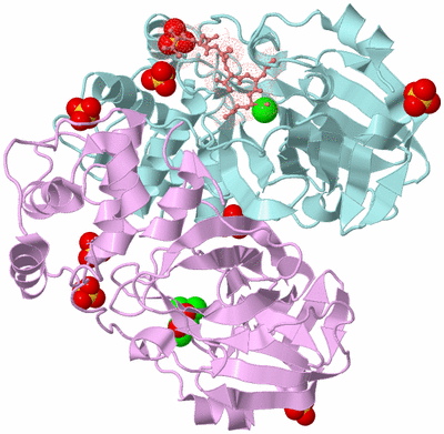 Image Biological Unit 3