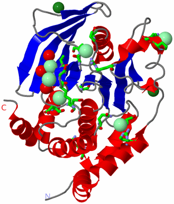 Image Asym./Biol. Unit - sites