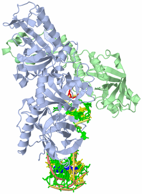 Image Asym./Biol. Unit