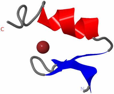 Image NMR Structure - model 1