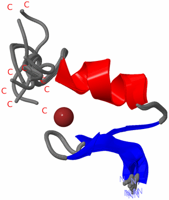 Image NMR Structure - all models