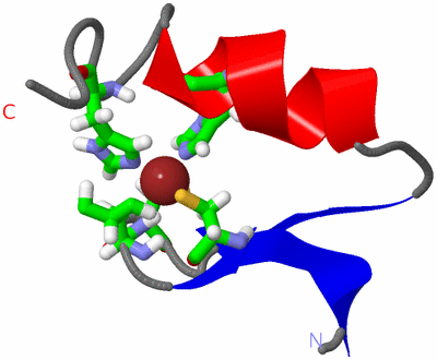 Image NMR Structure - model 1, sites