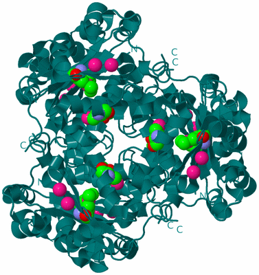 Image Biological Unit 1