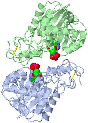 Image Asymmetric Unit