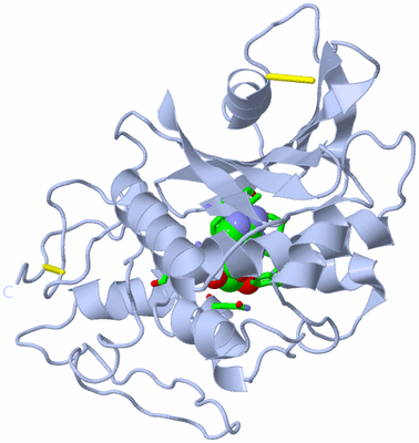 Image Biol. Unit 1 - sites