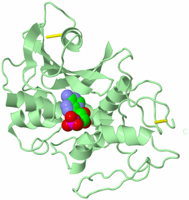 Image Biological Unit 2