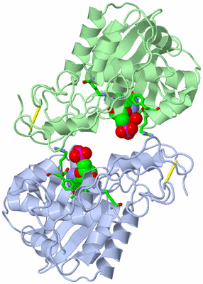 Image Asym. Unit - sites