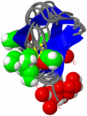 Image NMR Structure - all models