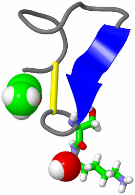 Image NMR Structure - model 1, sites