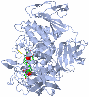 Image Biol. Unit 1 - sites