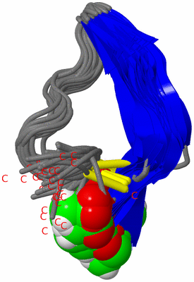 Image NMR Structure - all models