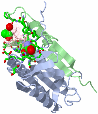 Image Biol. Unit 1 - sites