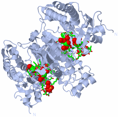 Image Biol. Unit 1 - sites