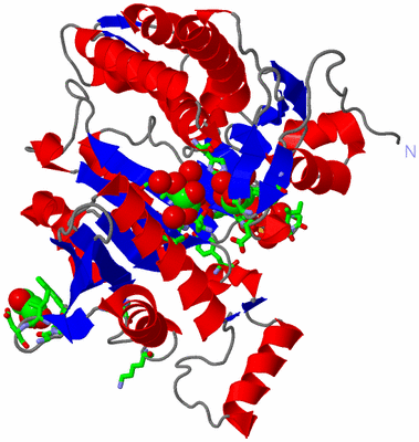 Image Asym. Unit - sites