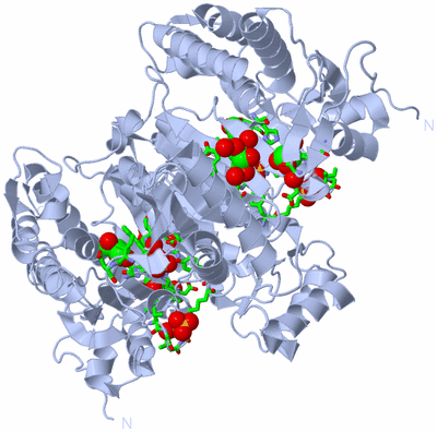 Image Biol. Unit 1 - sites