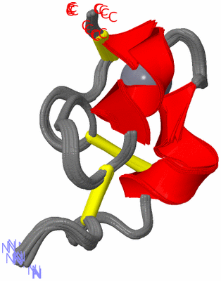 Image NMR Structure - all models